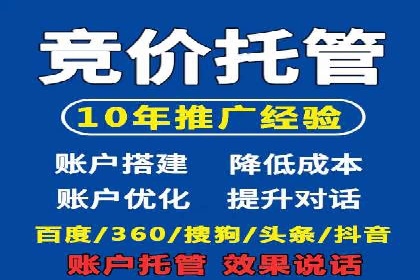 不同平台的SEM广告投放比较及成功案例分析
